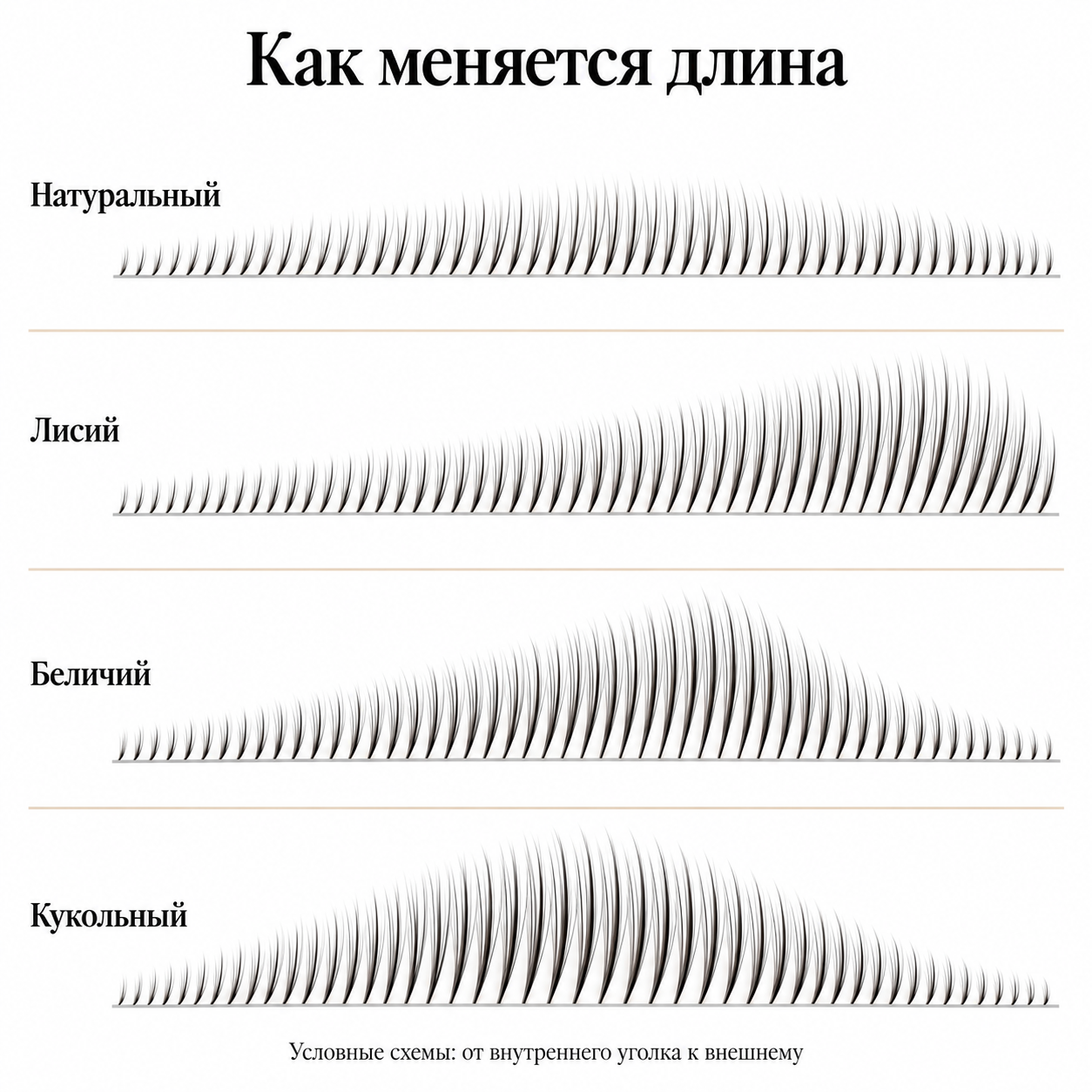 Четыре условные схемы длины: натуральная с плавным максимумом, лисья с внешним акцентом, беличья с более ранним пиком и кукольная с центральным